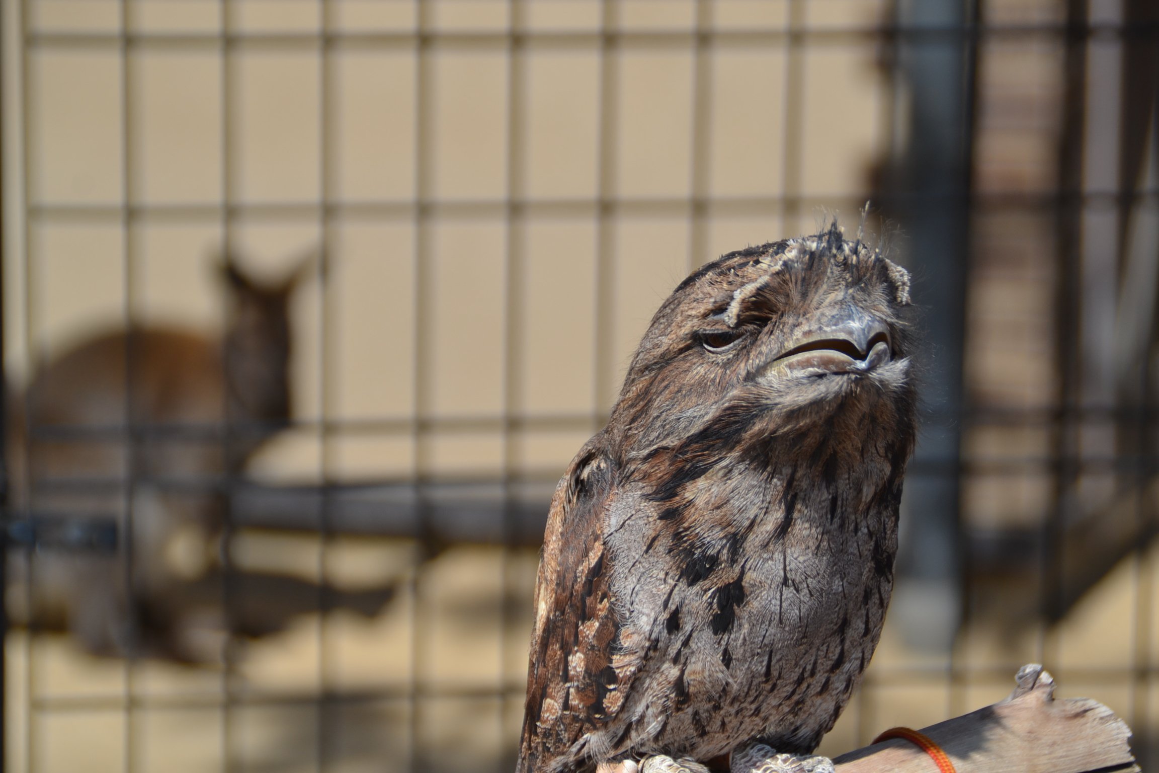 🏞️ 기타모토 자연관찰공원 (키타모토시젠칸사츠코엔)